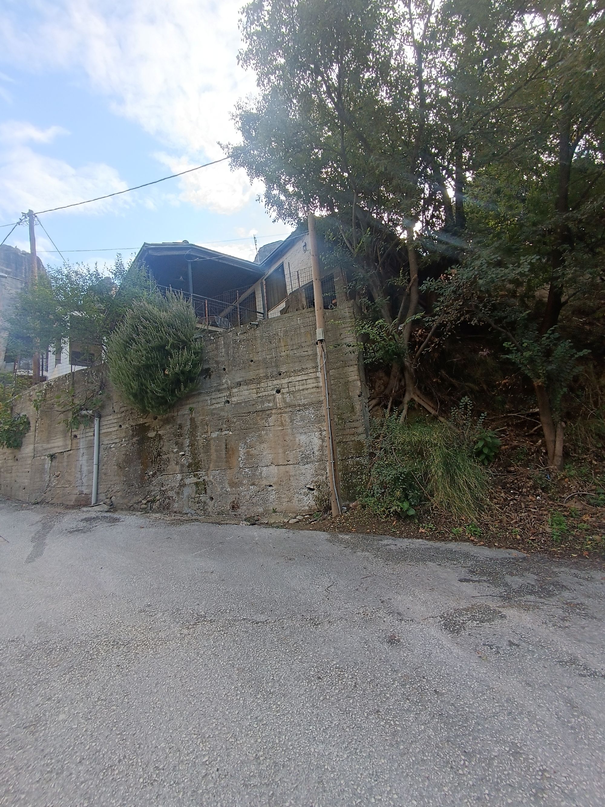 photo0