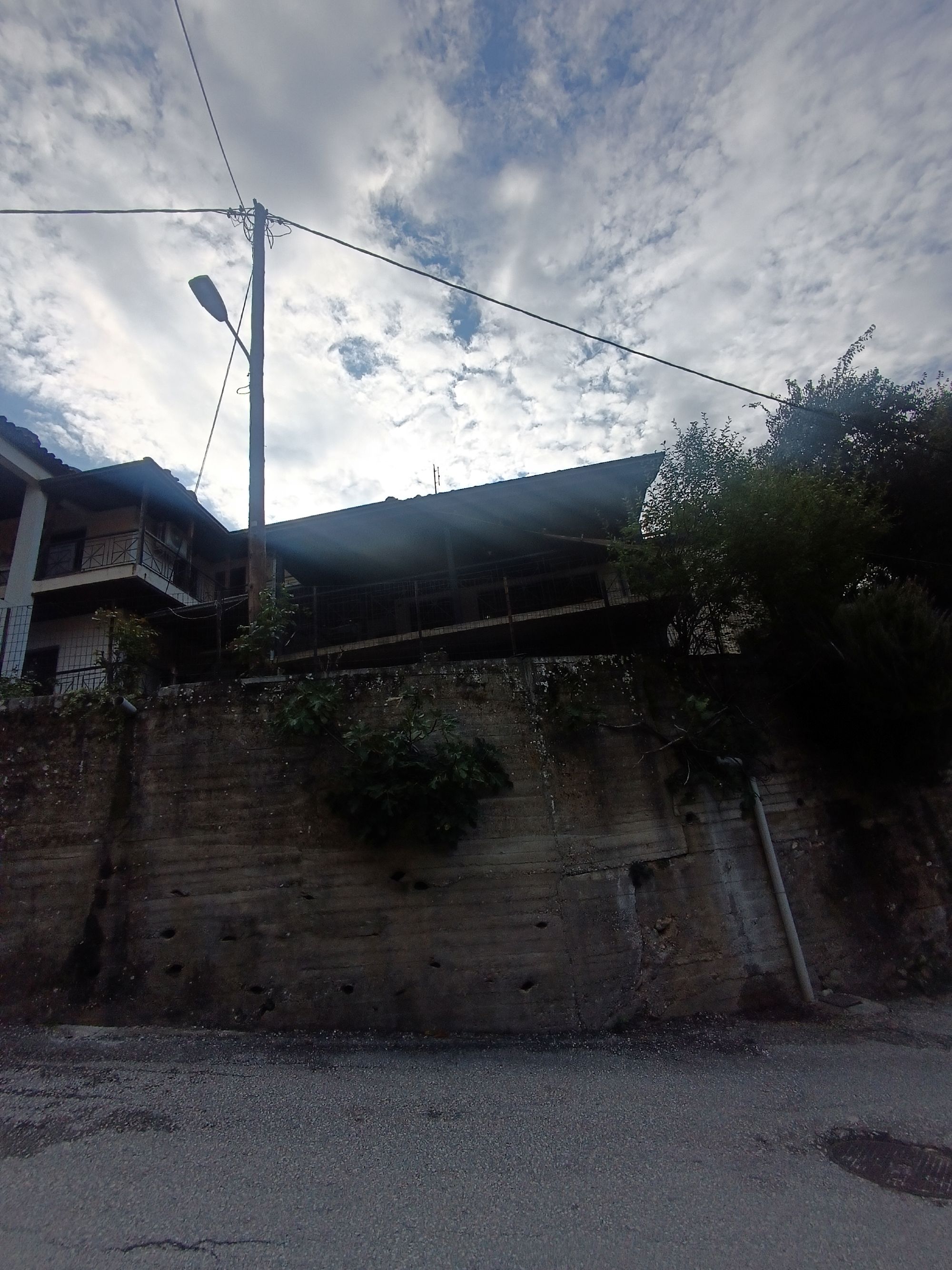 photo1