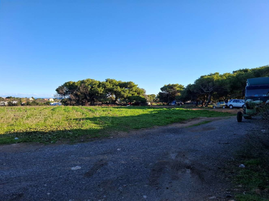 Αγροτεμάχιο  σε πλειστηριασμό Municipality of Rafina - Pikermiou