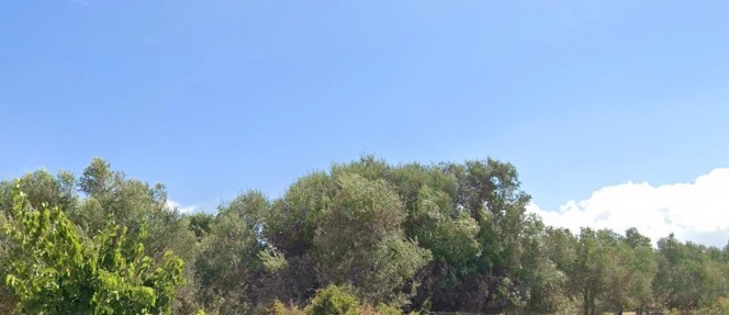 Αγροτεμάχιο 5280.17 sq.m. σε πλειστηριασμό Municipality of Apokorono 