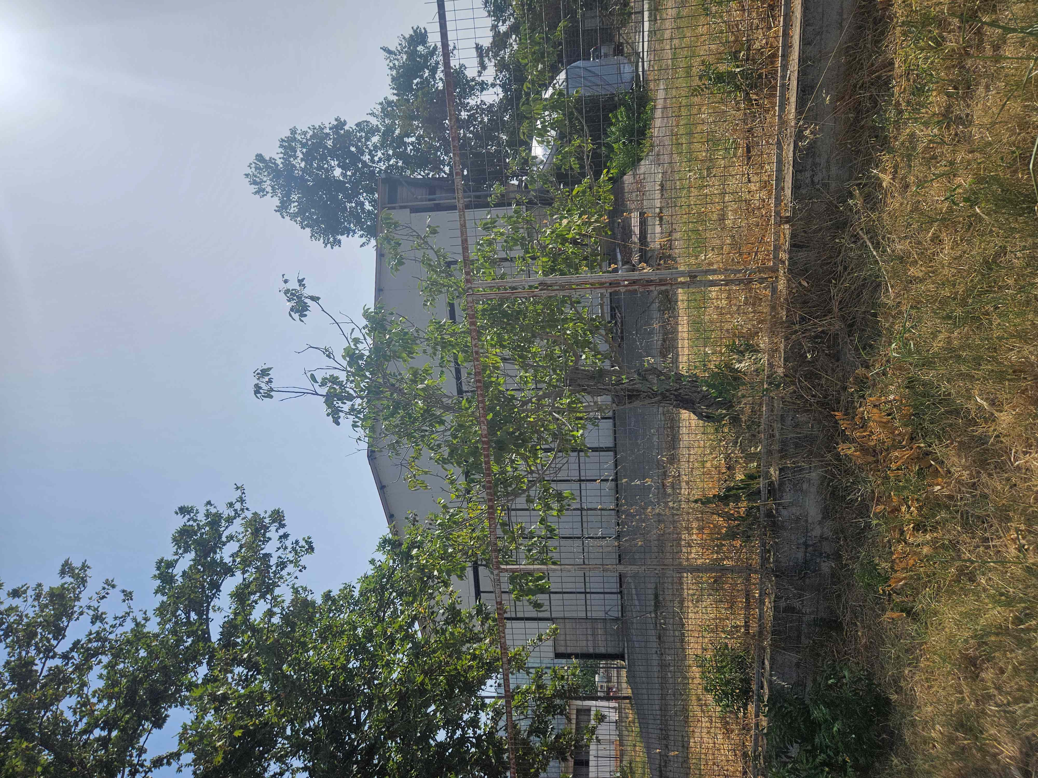 Βιομηχανικός / Βιοτεχνικός Χώρος  σε πλειστηριασμό Δήμος Λεβαδέων