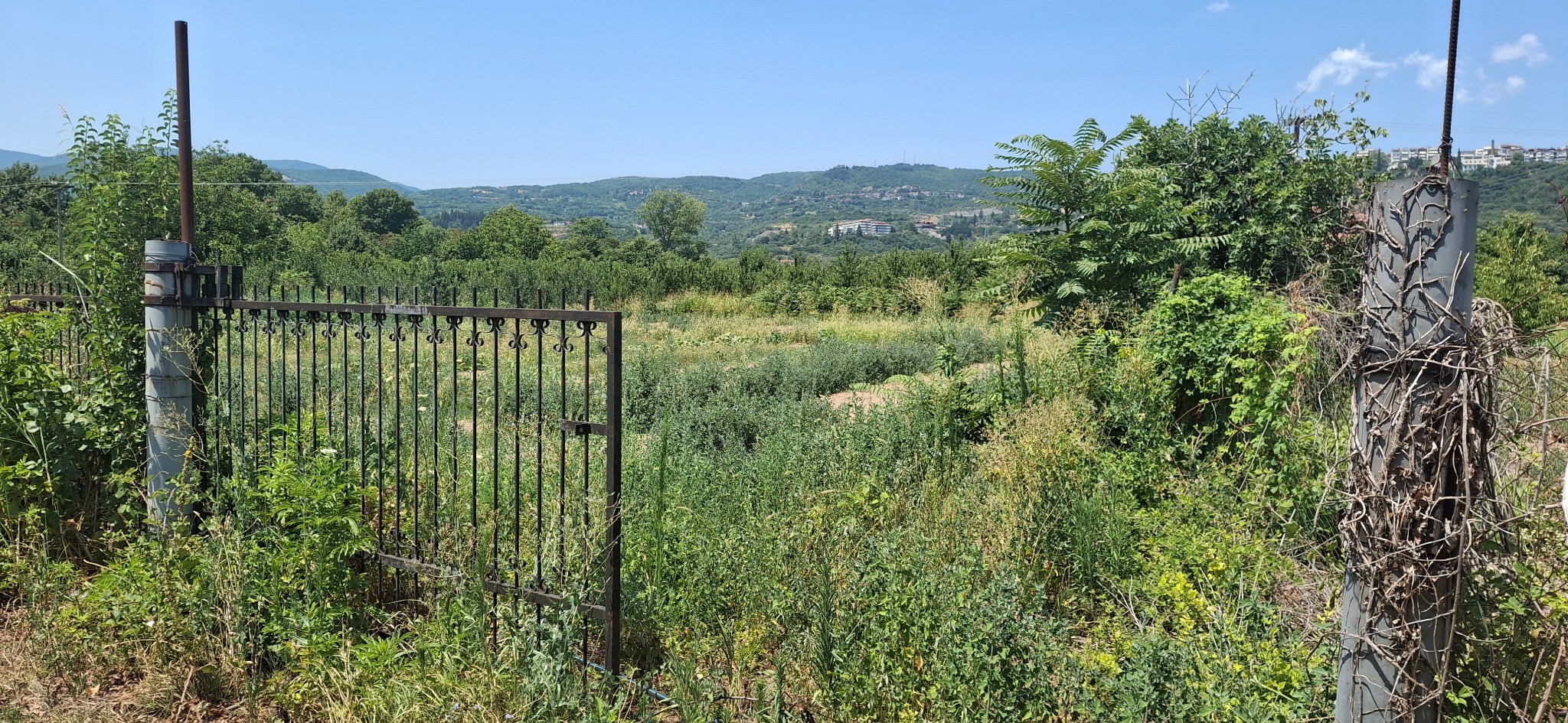 Αγροτεμάχιο 2000 sq.m. σε πλειστηριασμό Municipality of Edessa