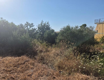 Οικόπεδο 474.60 τ.μ. σε πλειστηριασμό Δήμος Δυτικής Αχαΐας