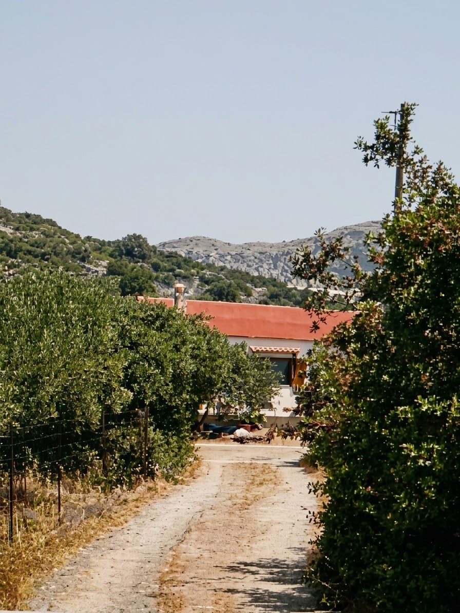 Κατοικία 111.51 τ.μ. σε πλειστηριασμό Δήμος Βιάννου