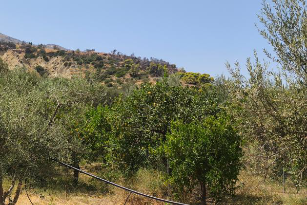 Οικόπεδο 479 sq.m. σε πλειστηριασμό Municipality of Xylokastro - Eurostini