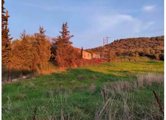 Βιομηχανικός / Βιοτεχνικός Χώρος 2535.04 τ.μ. σε πλειστηριασμό Δήμος Λέσβου