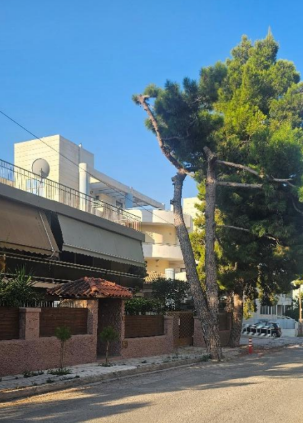 Οικόπεδο με κτίσμα 1320 sq.m. σε πλειστηριασμό Municipality of Alimos