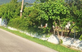 Αγροτεμάχιο με κτίσμα  σε πλειστηριασμό Municipality of Trikkaia