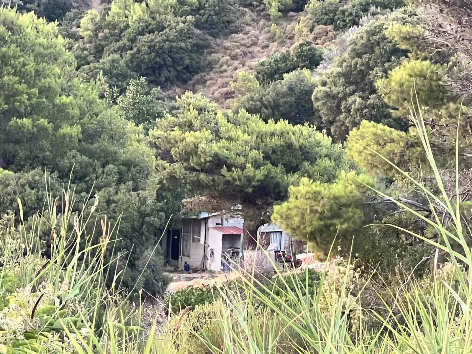 Αγροτεμάχιο με κτίσμα 5054.35 sq.m. σε πλειστηριασμό Municipality of Patreon