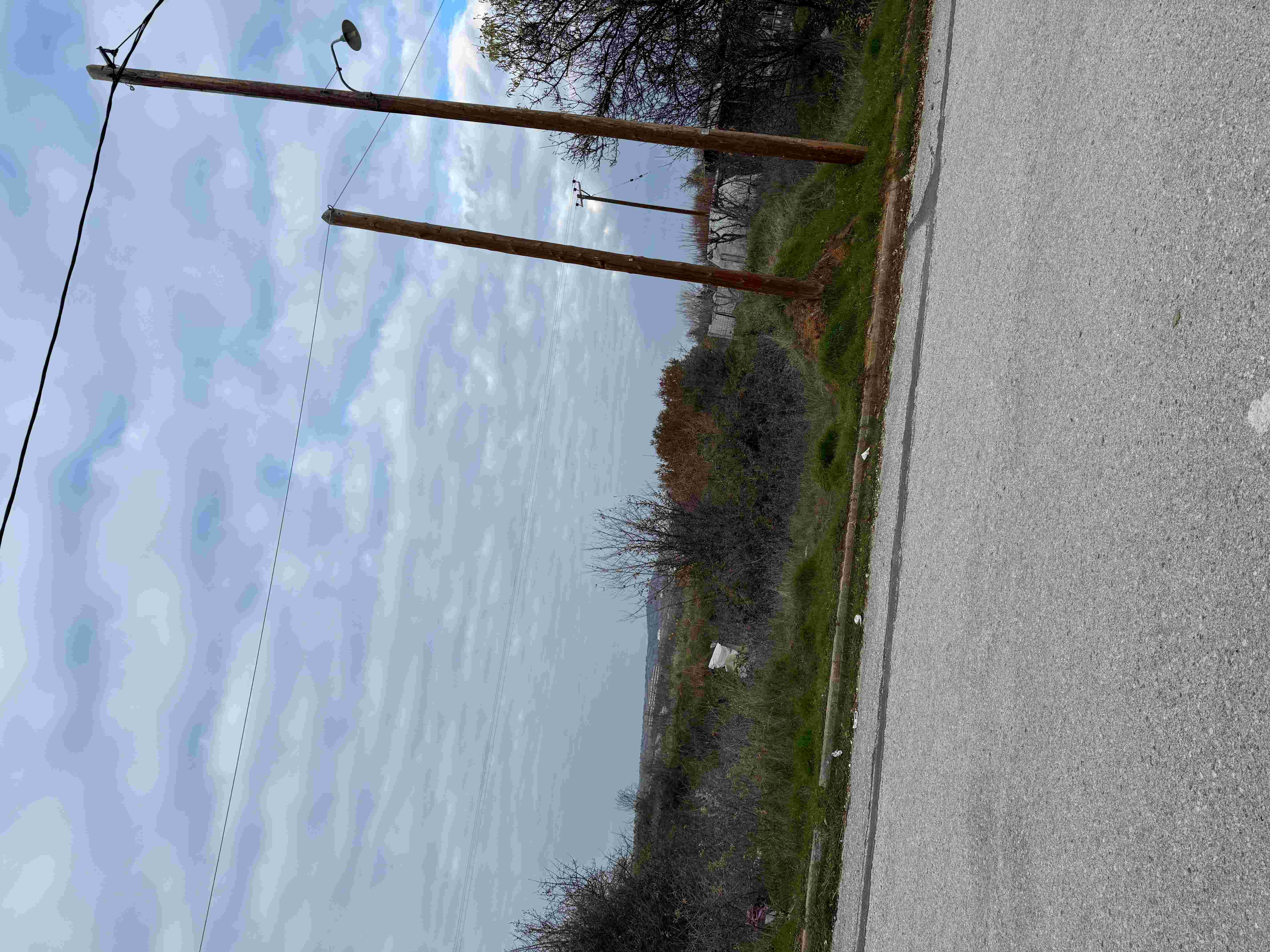 photo1