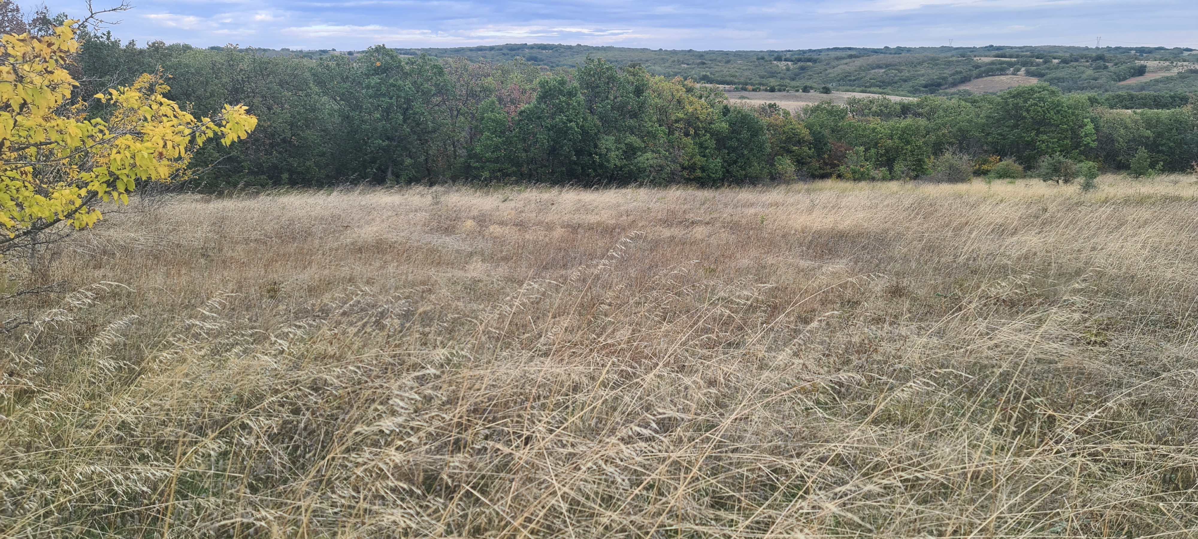 Αγροτεμάχιο 6437 sq.m. σε πλειστηριασμό Municipality of Soufli