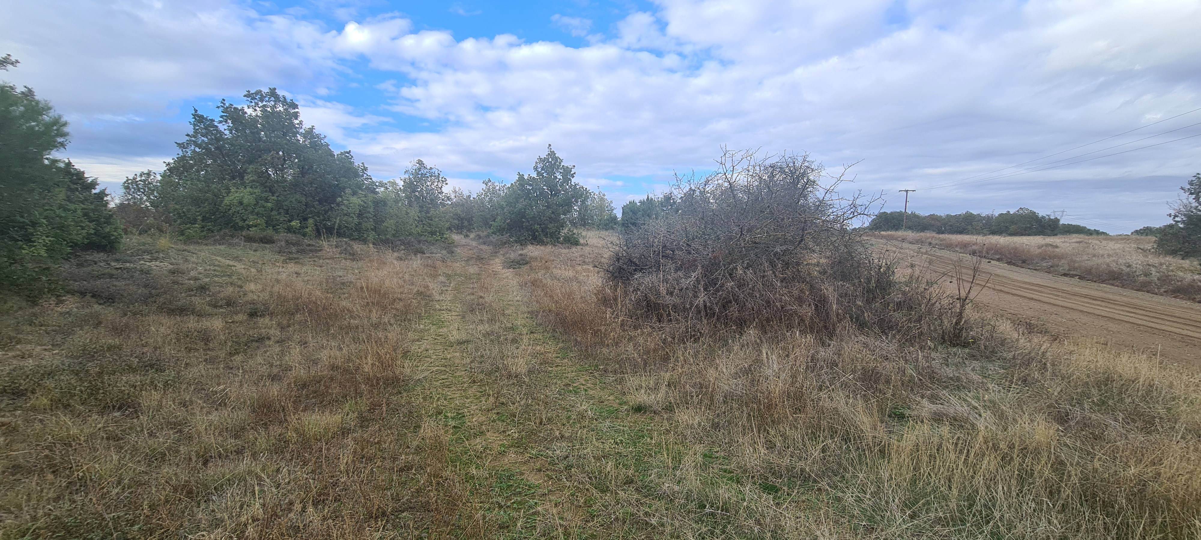 photo1