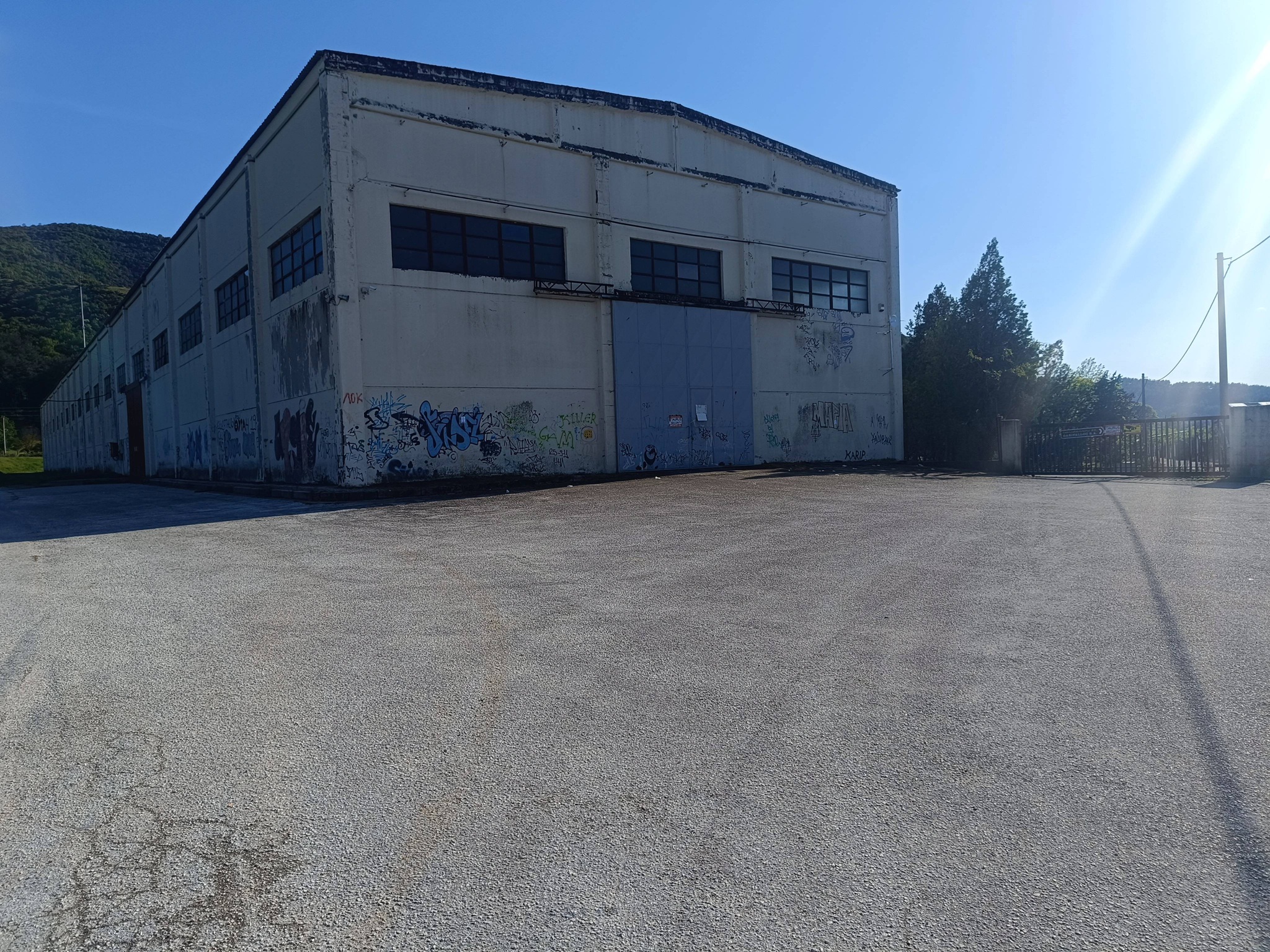 photo1
