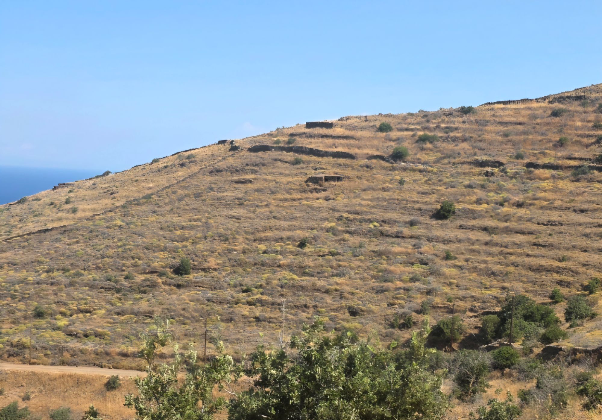 Αγροτεμάχιο 4025.17 τ.μ. σε πλειστηριασμό Δήμος Κέας