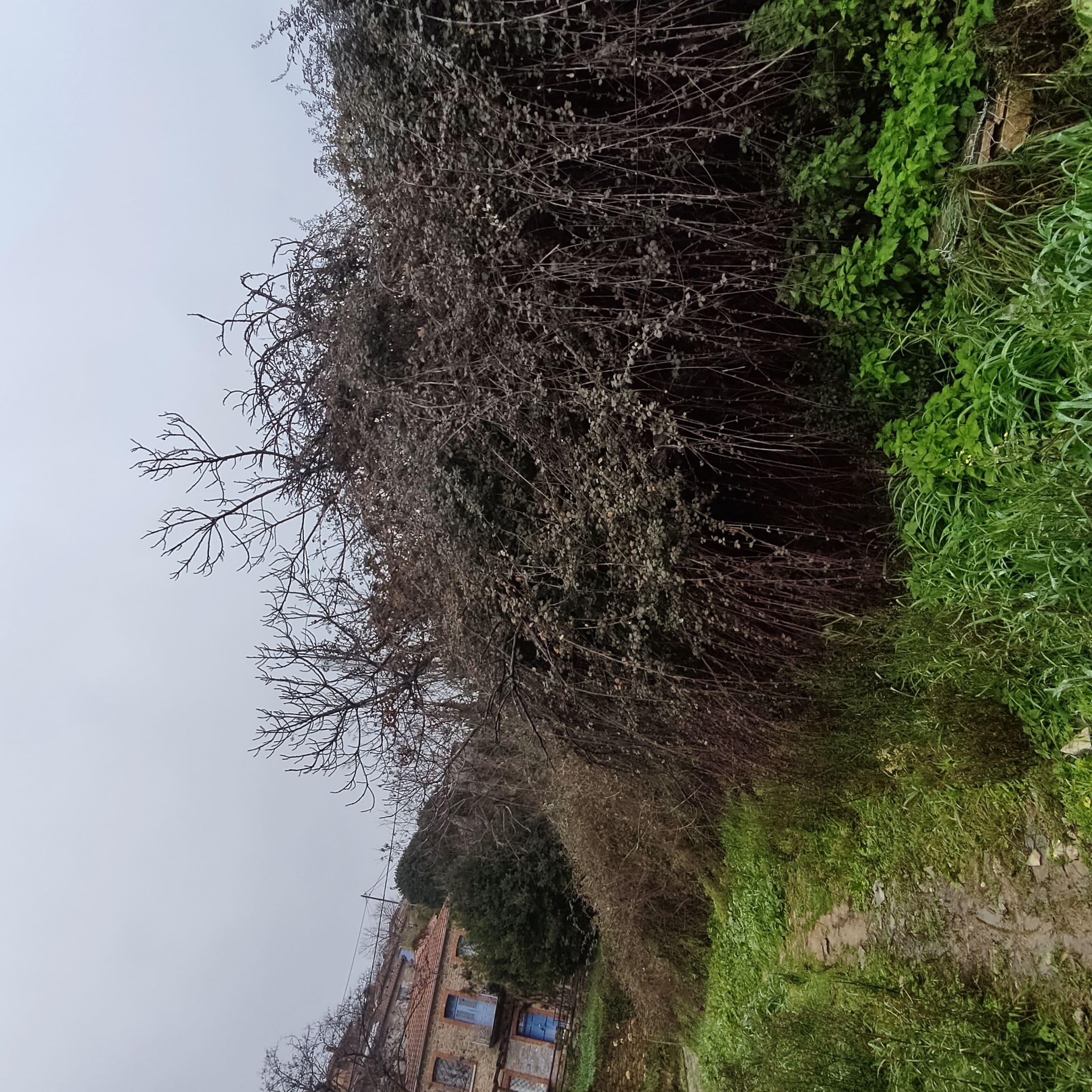 Οικόπεδο 252.40 sq.m. σε πλειστηριασμό Municipality of South Pelion