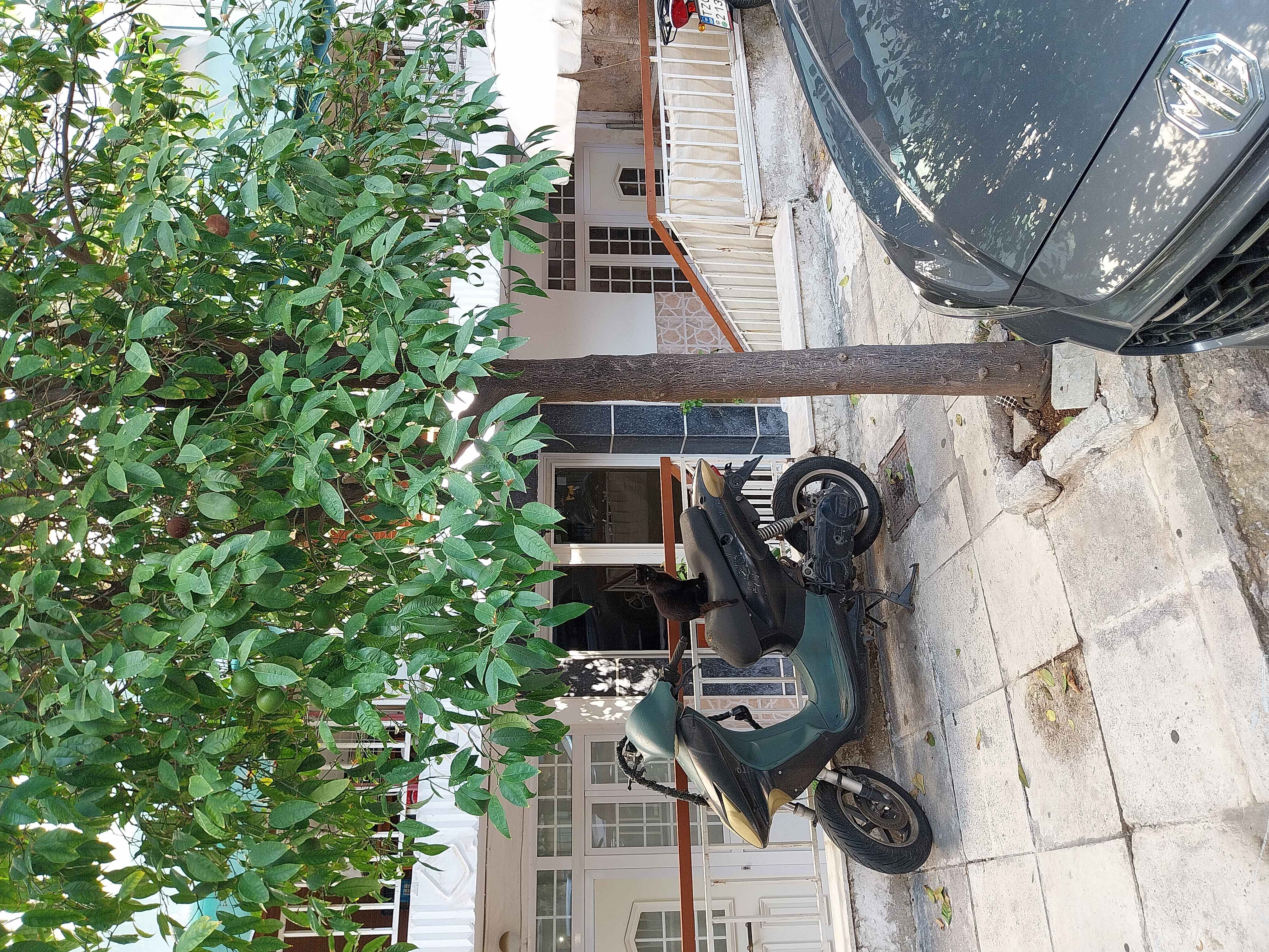 Αποθήκη  σε πλειστηριασμό Δήμος Νικαίας - Αγίου Ιωάννου Ρέντη