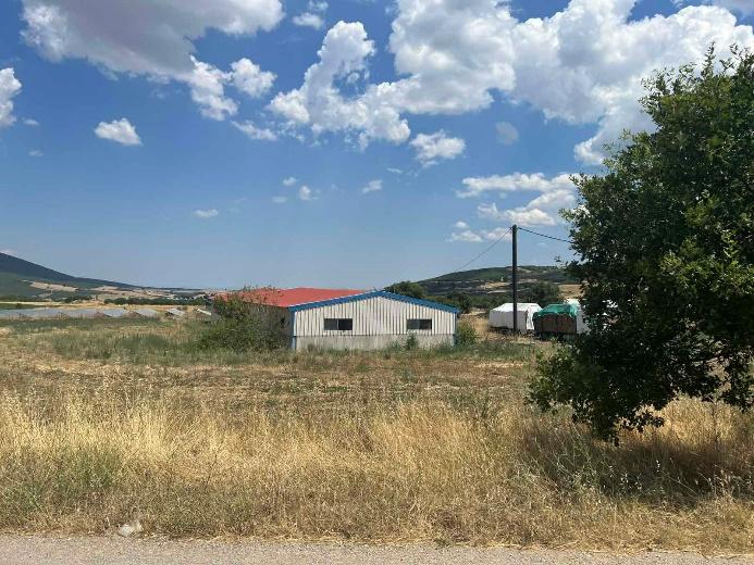 Αγροτεμάχιο με κτίσμα 26440 sq.m. σε πλειστηριασμό Municipality of Farsala