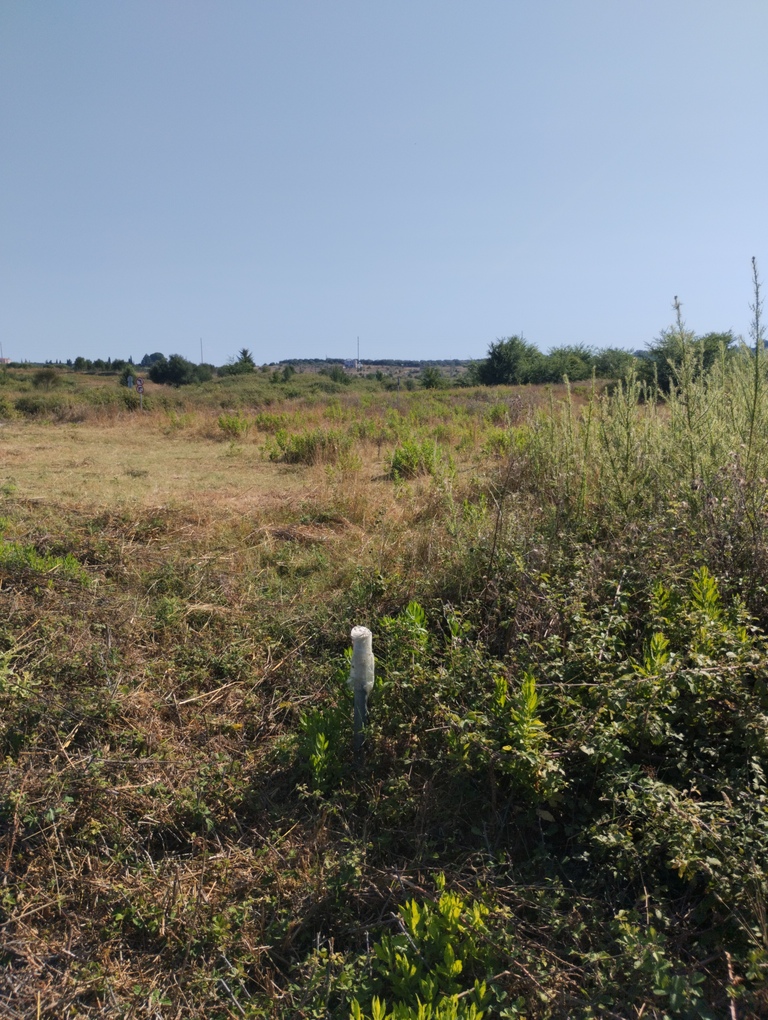 Οικόπεδο 415 τ.μ. σε πλειστηριασμό Δήμος Πρέβεζας