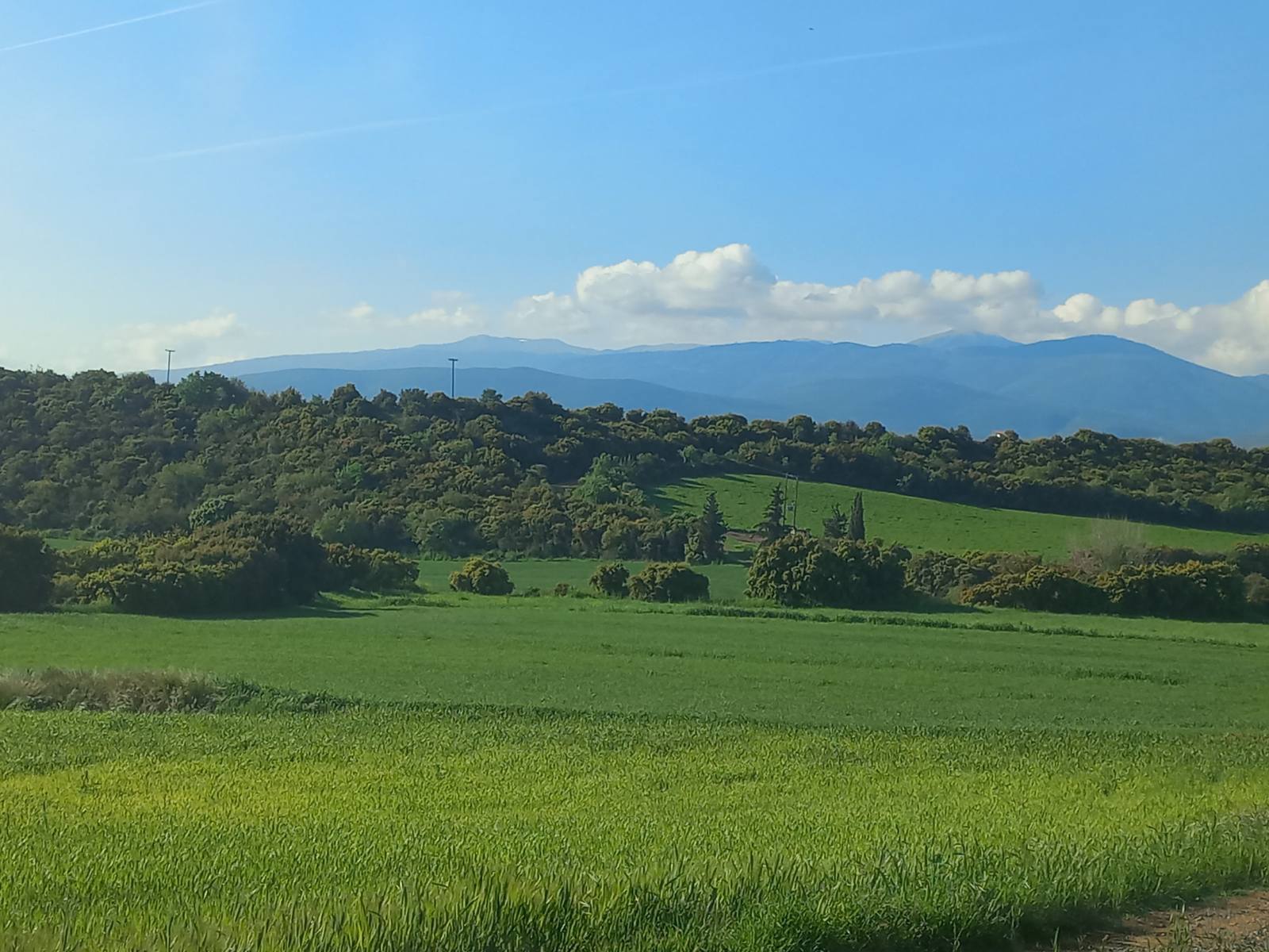 Αγροτεμάχιο  σε πλειστηριασμό Δήμος Αλμυρού