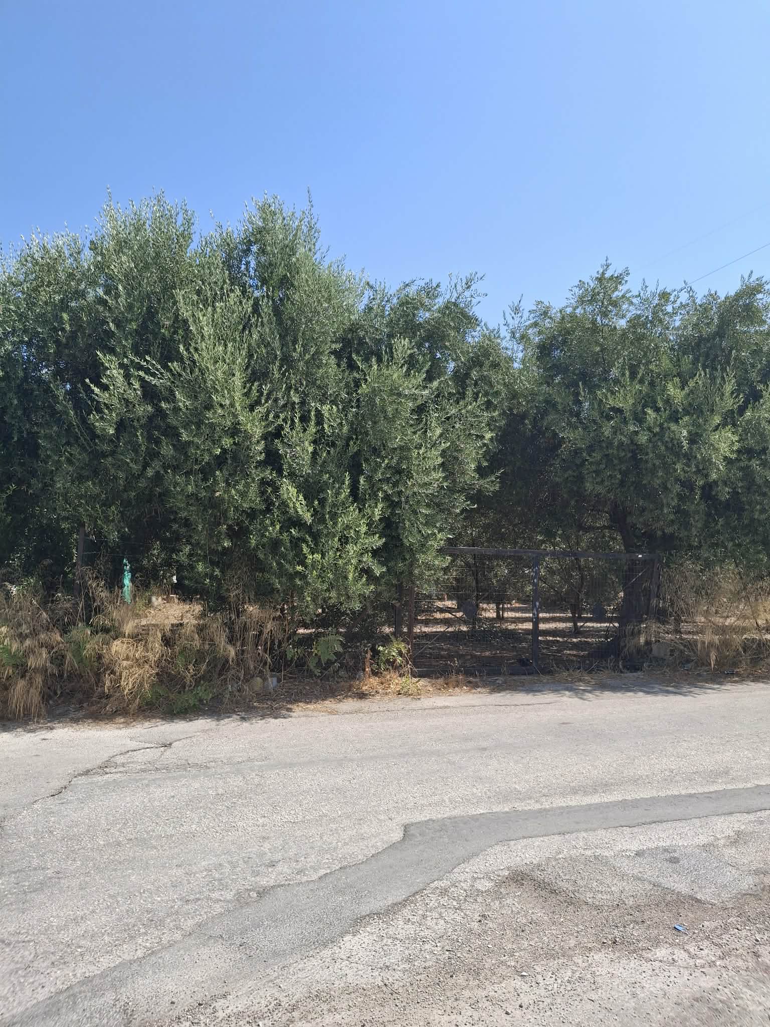 Οικόπεδο 549.47 τ.μ. σε πλειστηριασμό Δήμος Πατρέων