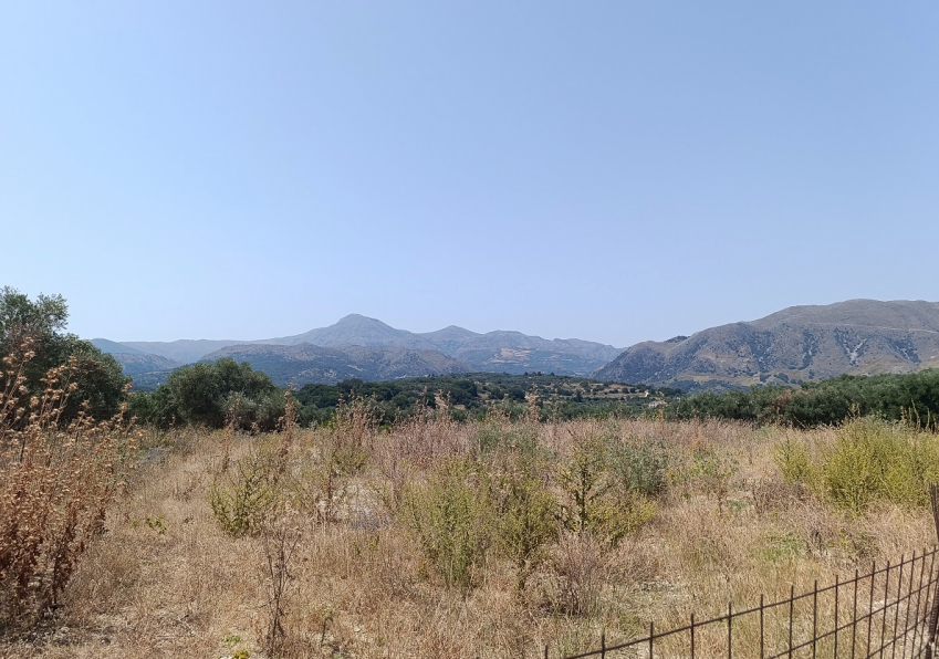 Αγροτεμάχιο 3042 τ.μ. σε πλειστηριασμό Δήμος Ρεθύμνης