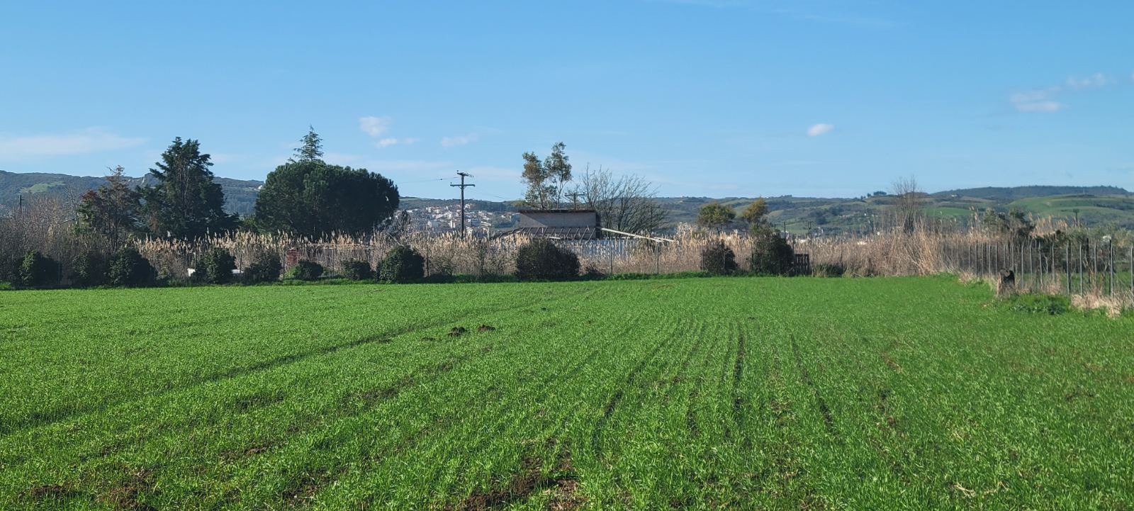 Αγροτεμάχιο με κτίσμα  σε πλειστηριασμό Municipality of Thermi