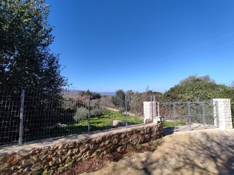 Αγροτεμάχιο  σε πλειστηριασμό Δήμος Ρεθύμνης