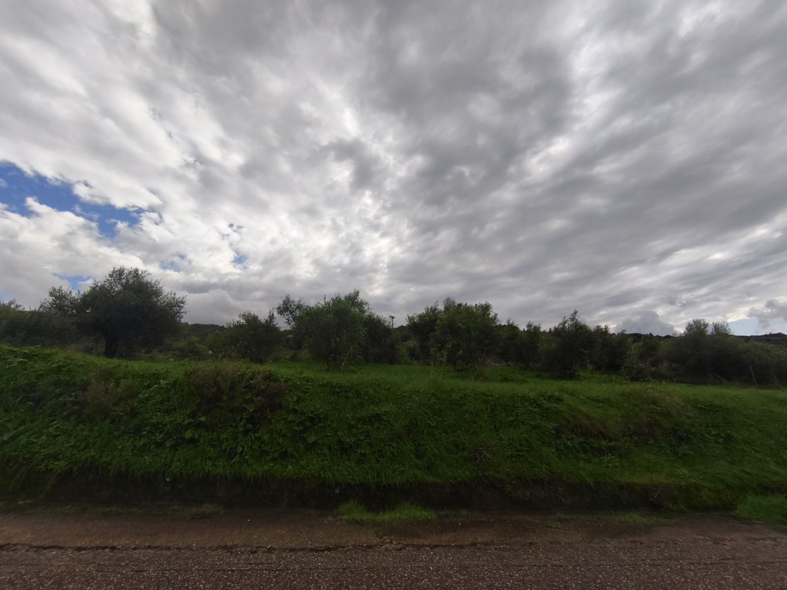 Οικόπεδο  σε πλειστηριασμό Δήμος Ζαχάρως