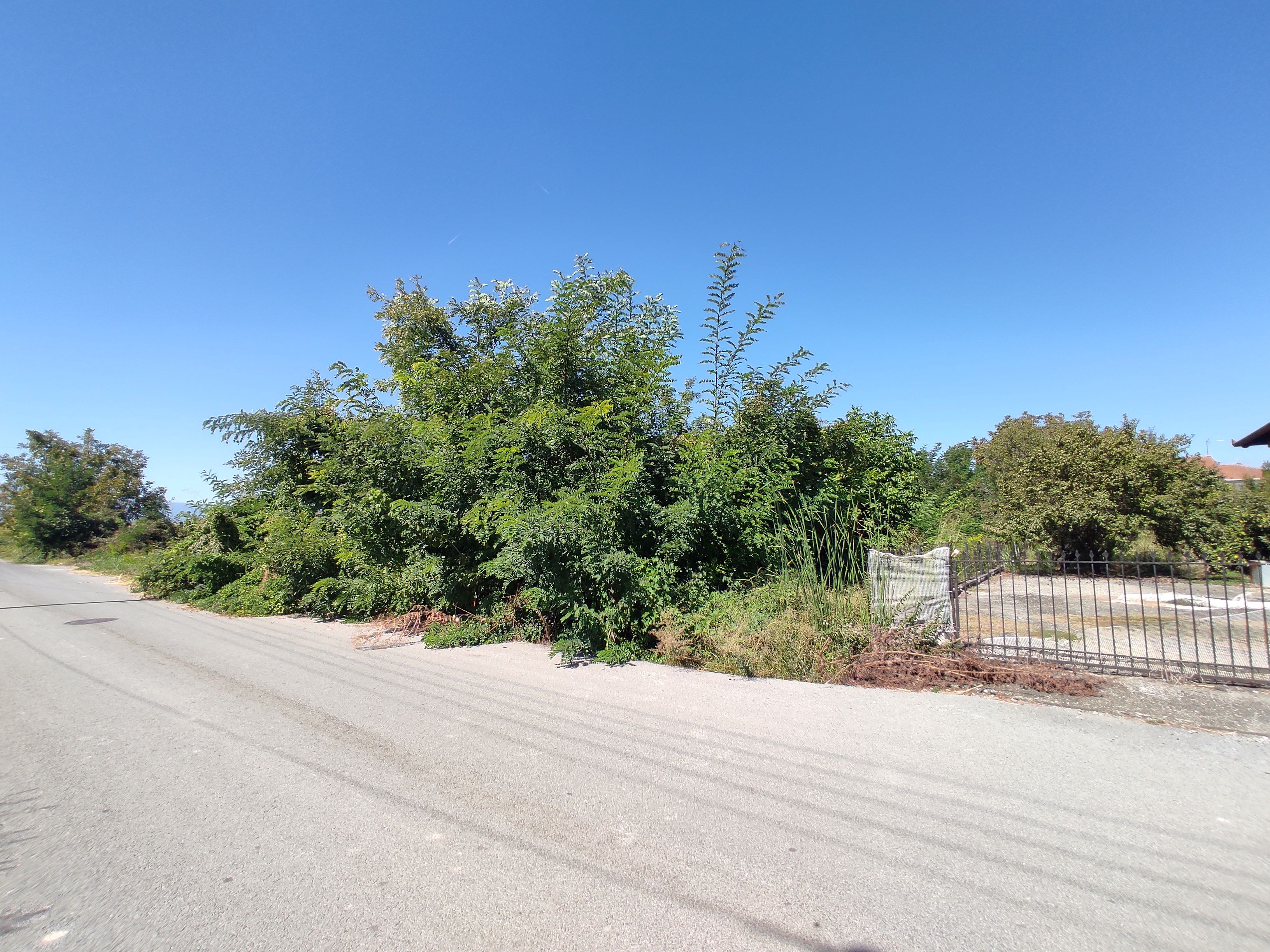 Οικόπεδο  σε πλειστηριασμό Δήμος Πέλλας