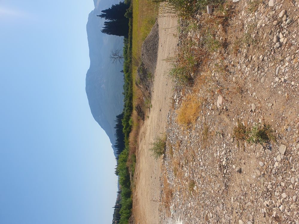 Αγροτεμάχιο  σε πλειστηριασμό Δήμος Ιεράς Πόλης Μεσολογγίου