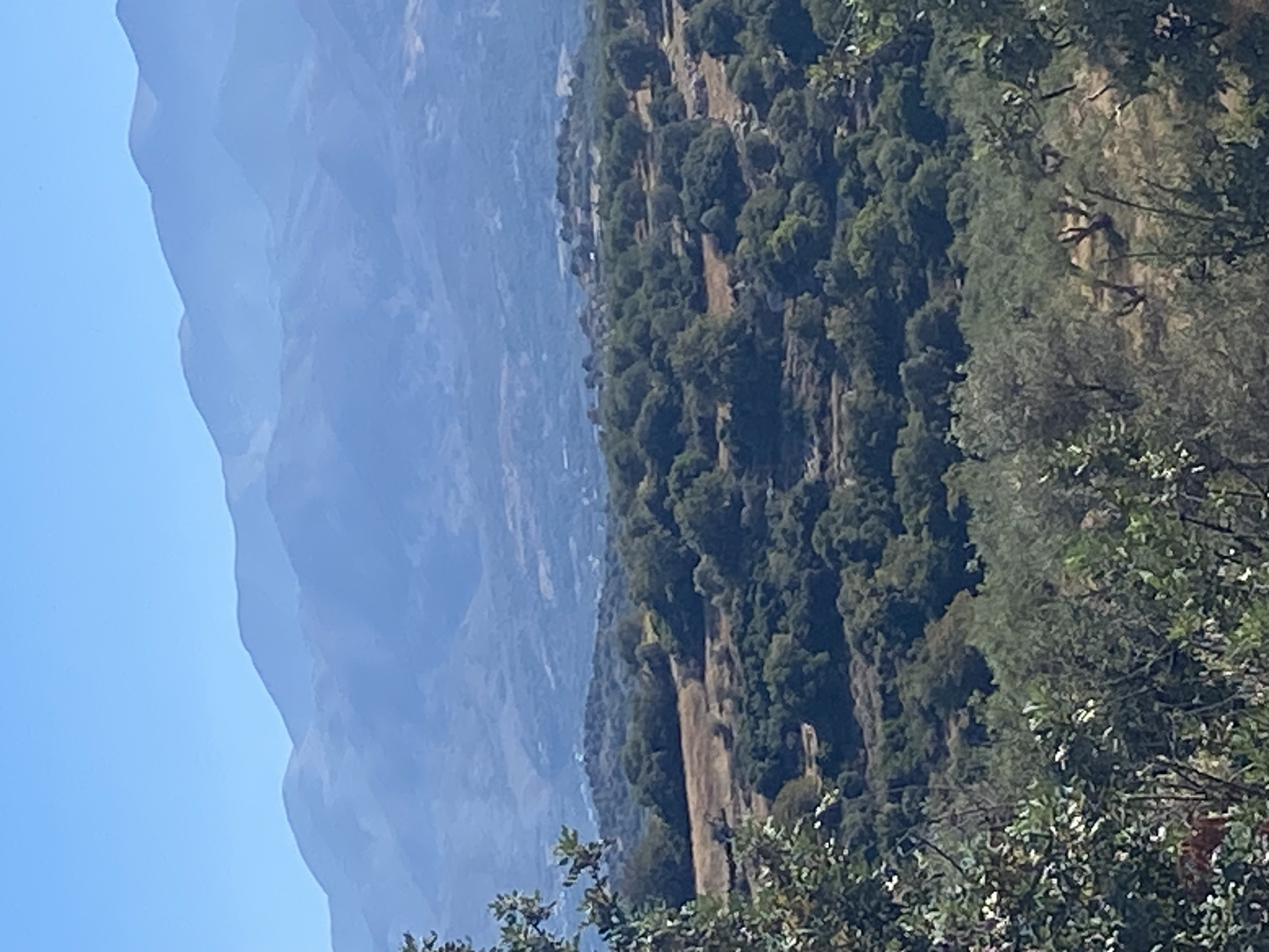 photo1
