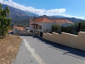 photo1