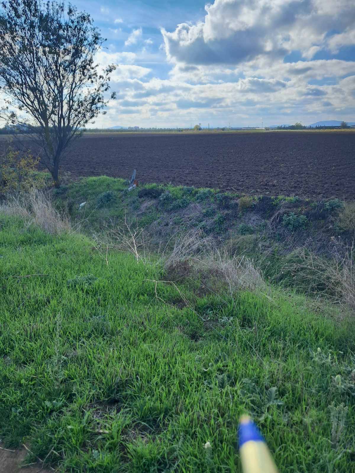 photo1