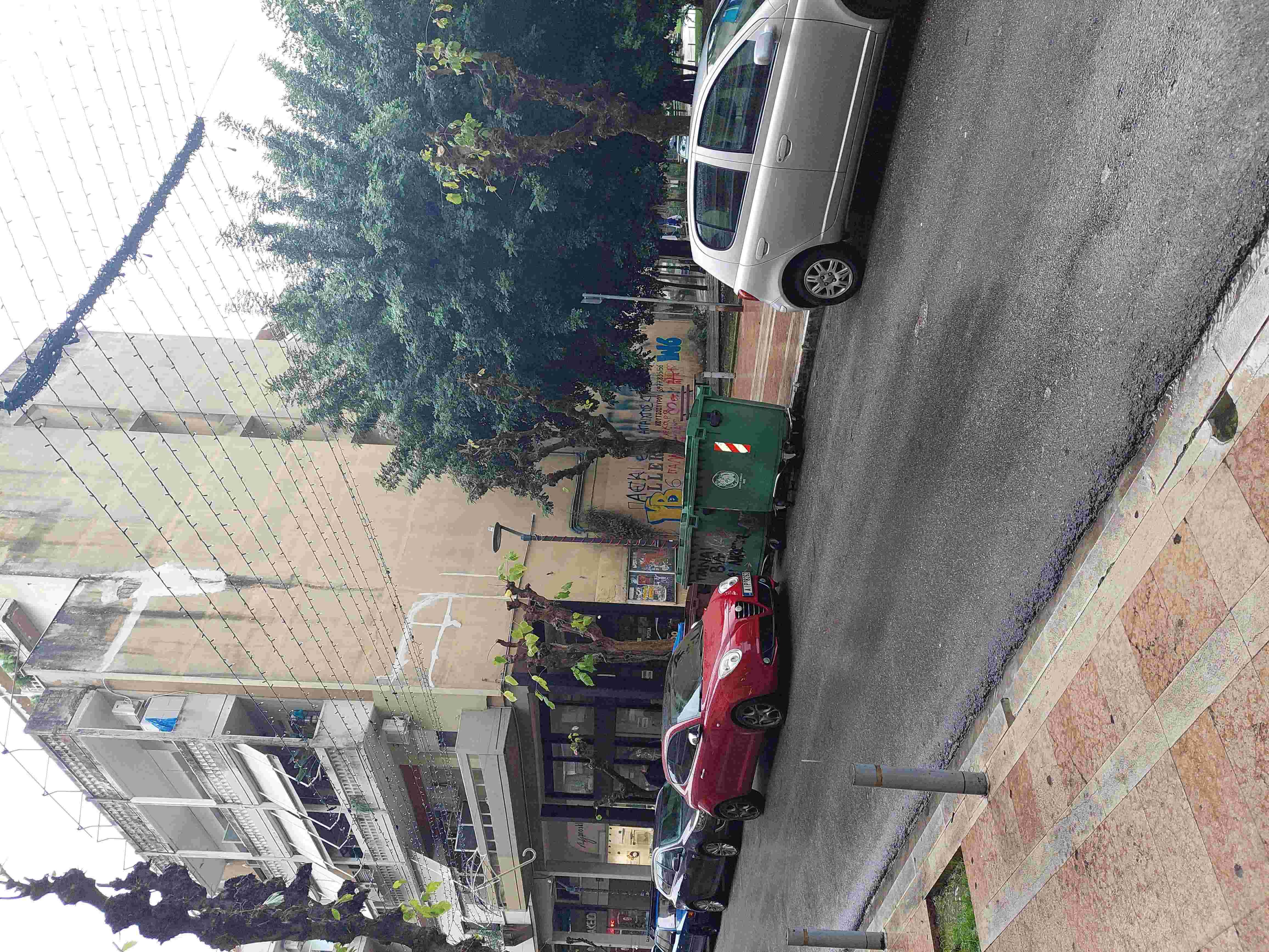 photo1