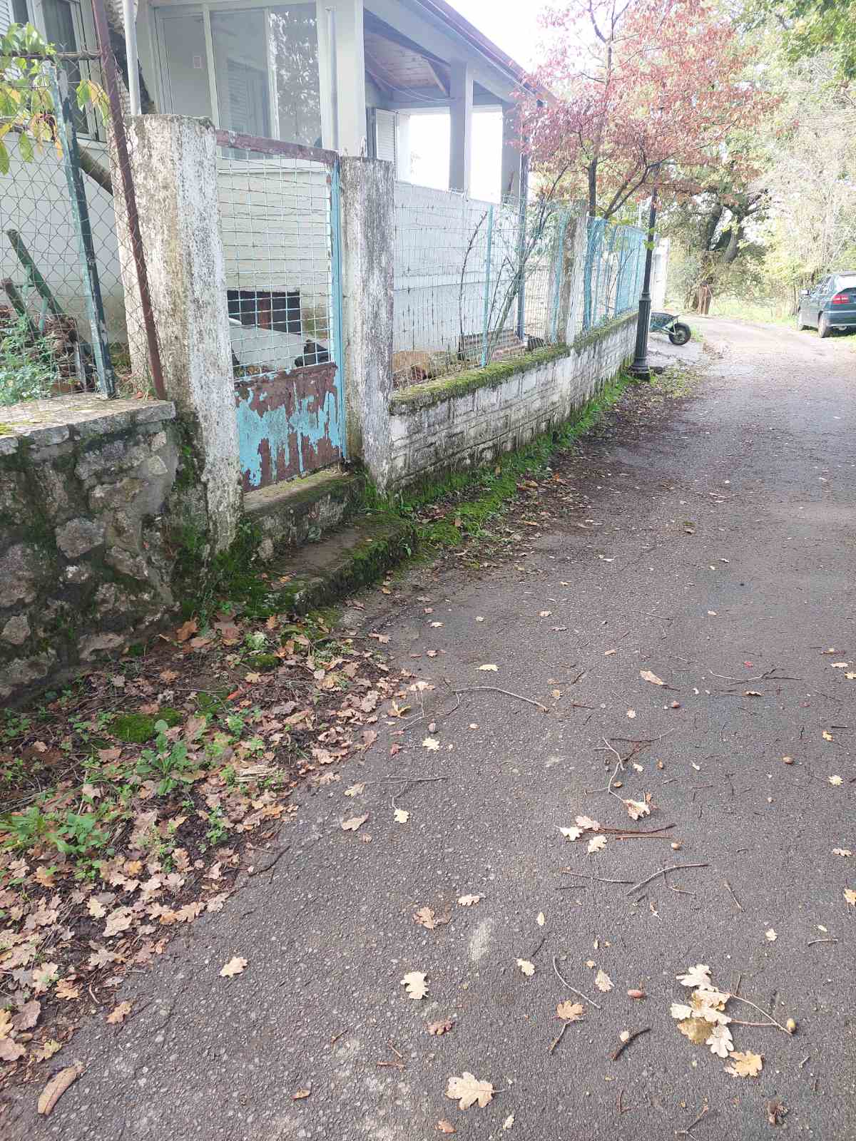photo6