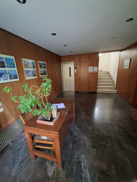 photo6