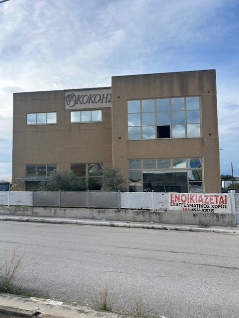 photo2