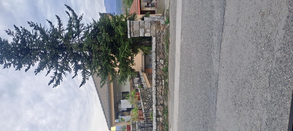 photo2
