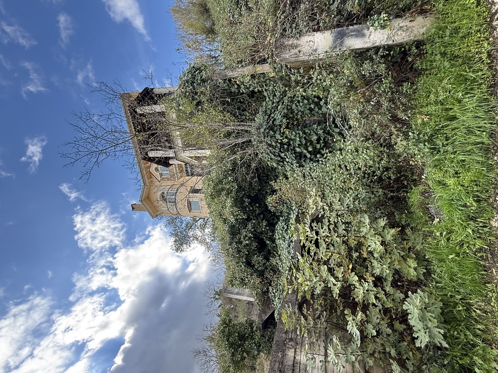 photo1