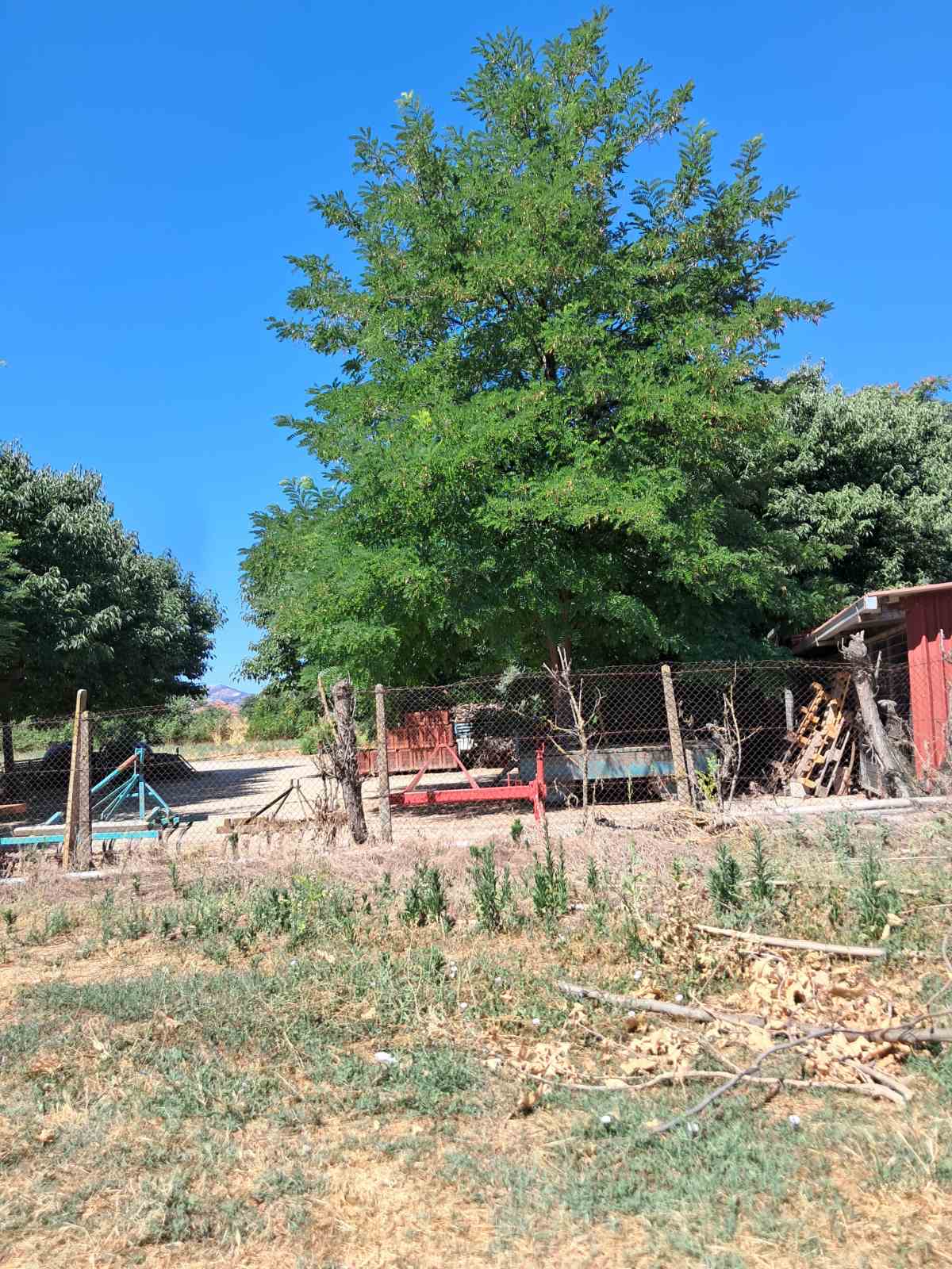 Οικόπεδο 616.26 τ.μ. σε πλειστηριασμό Δήμος Τυρνάβου