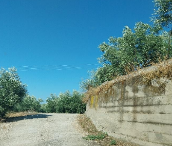 Αγροτεμάχιο 405 sq.m. σε πλειστηριασμό Municipality of North Kynouria
