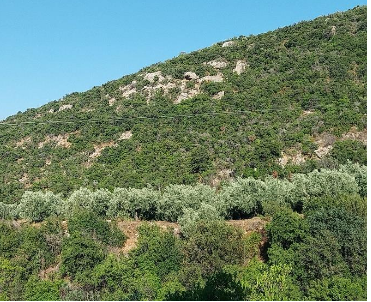 Αγροτεμάχιο  σε πλειστηριασμό Municipality of North Kynouria