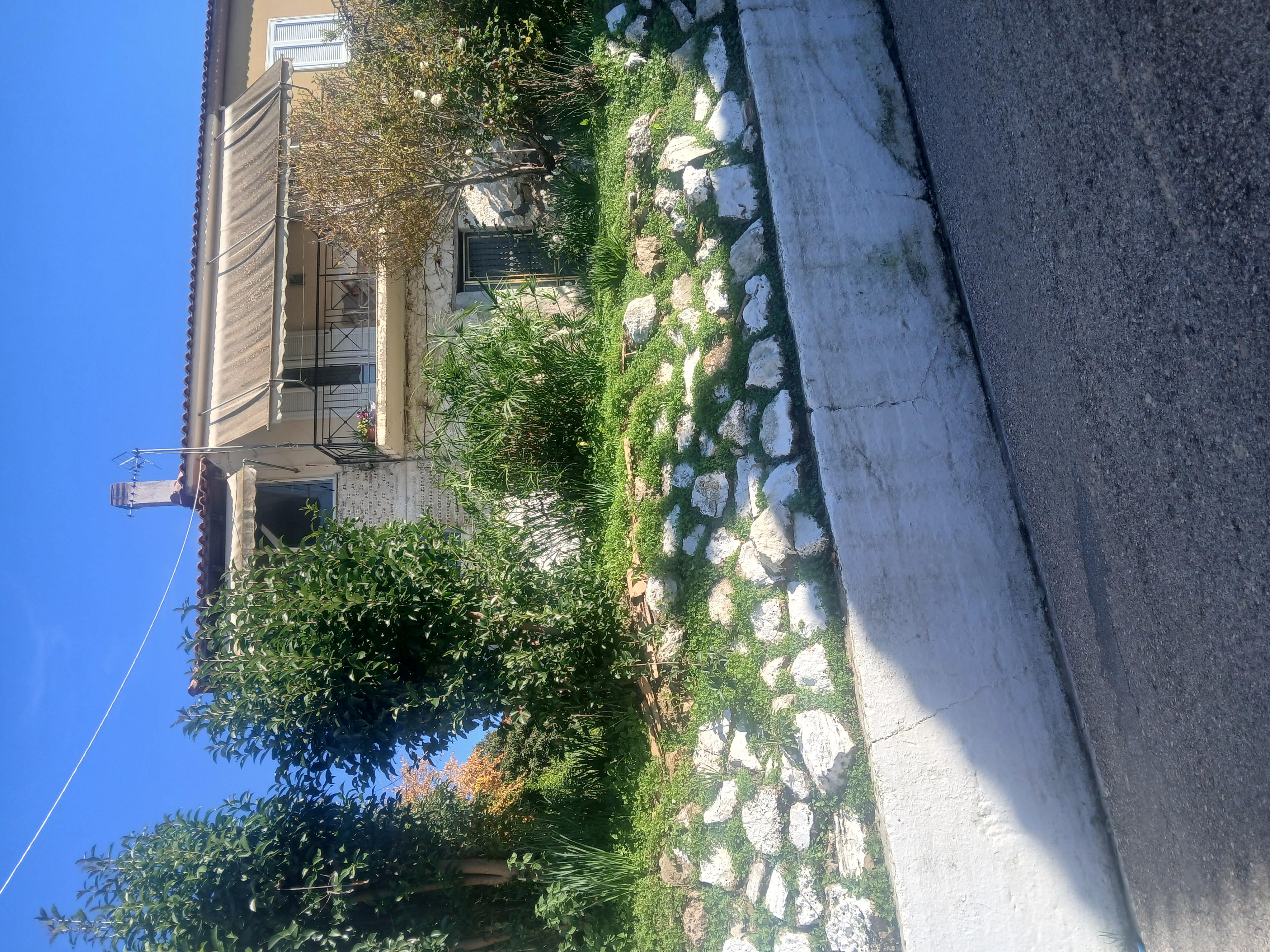 Οικόπεδο με κτίσμα  σε πλειστηριασμό Δήμος Πύργου