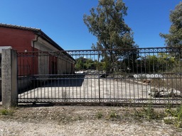 photo1