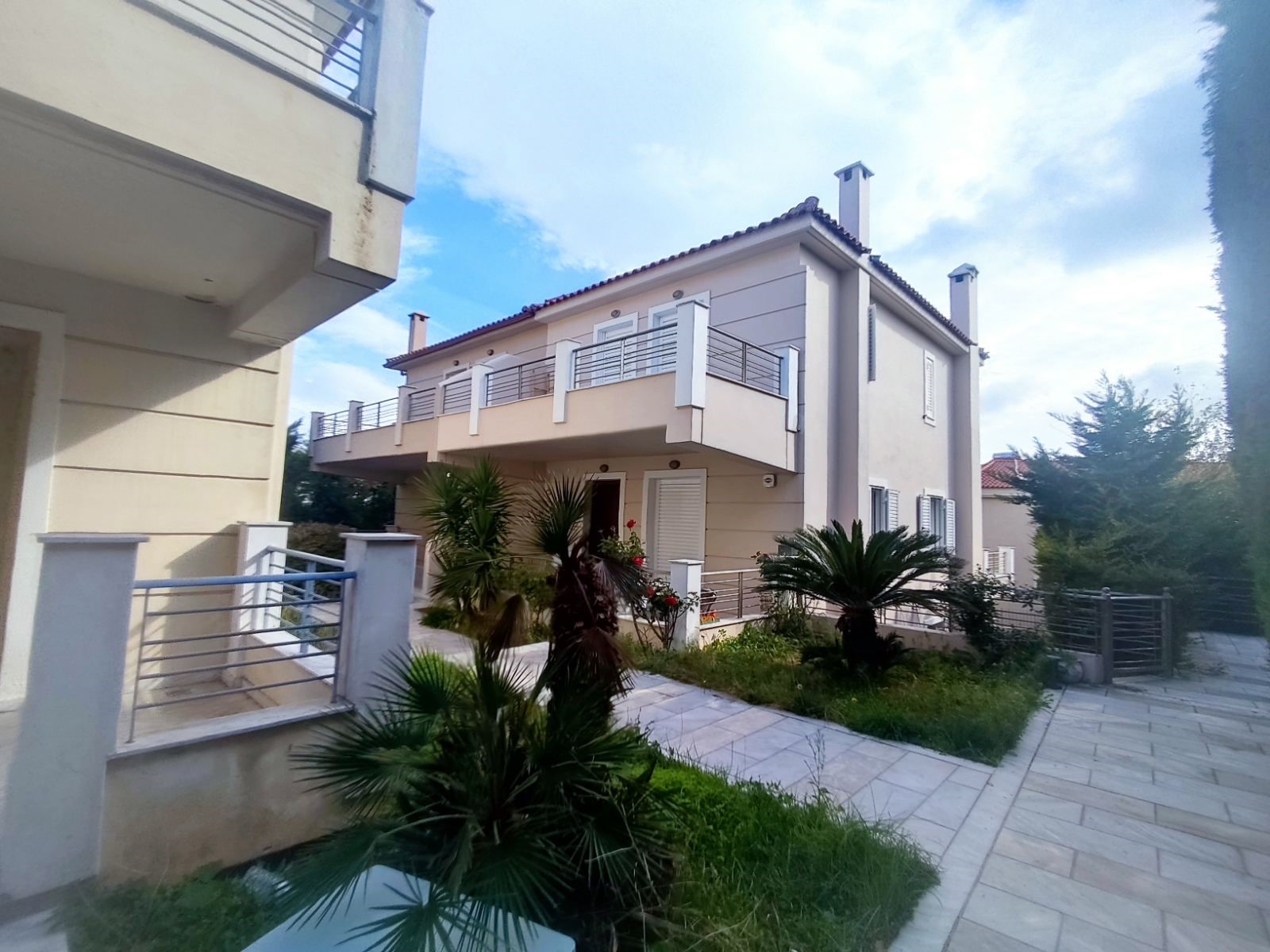 photo2