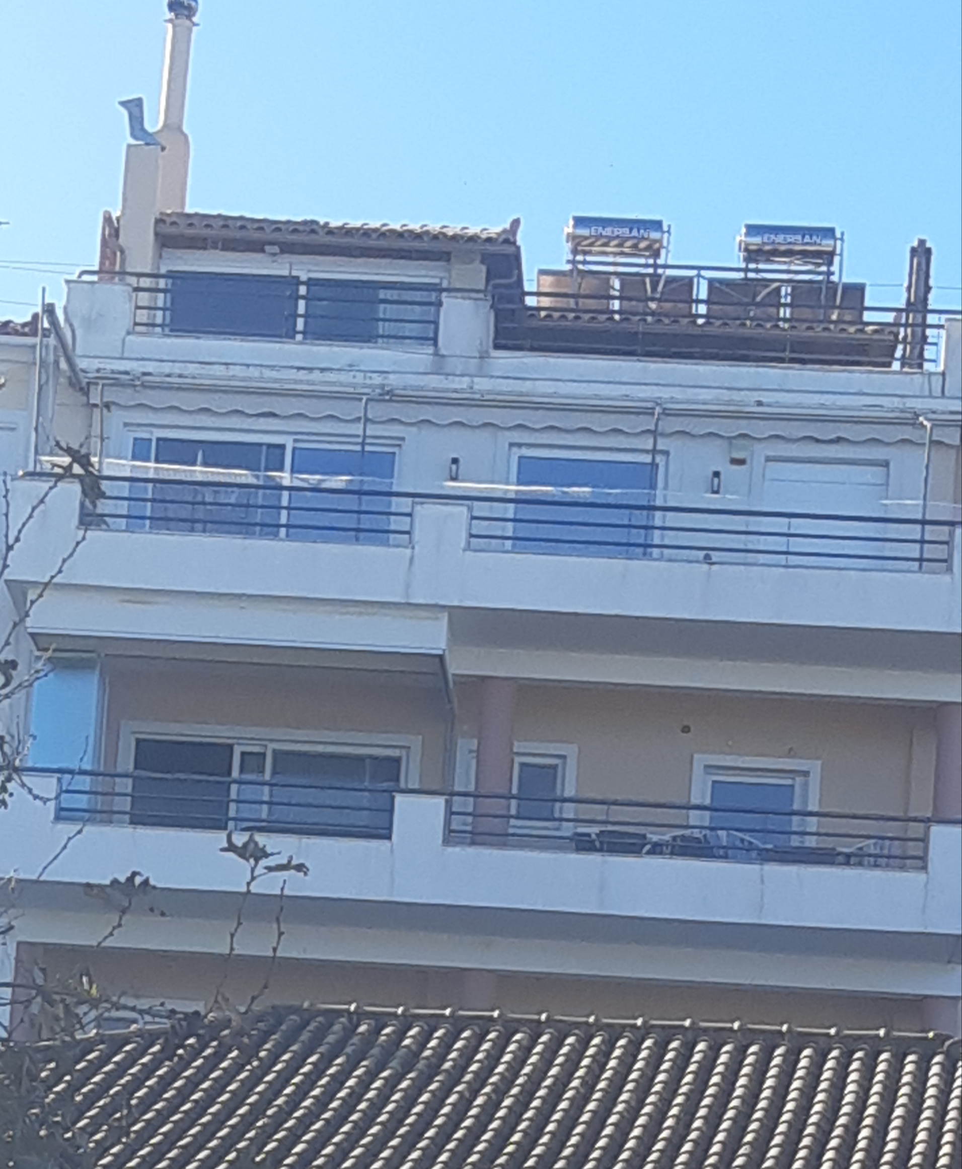 photo1