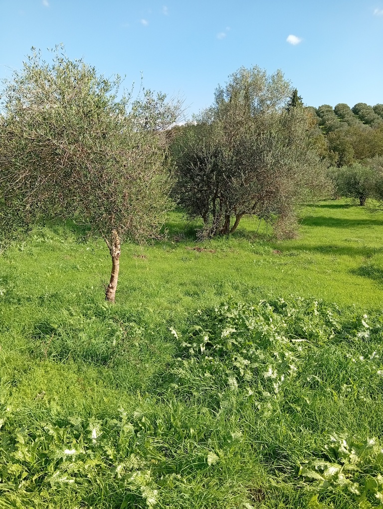 photo1