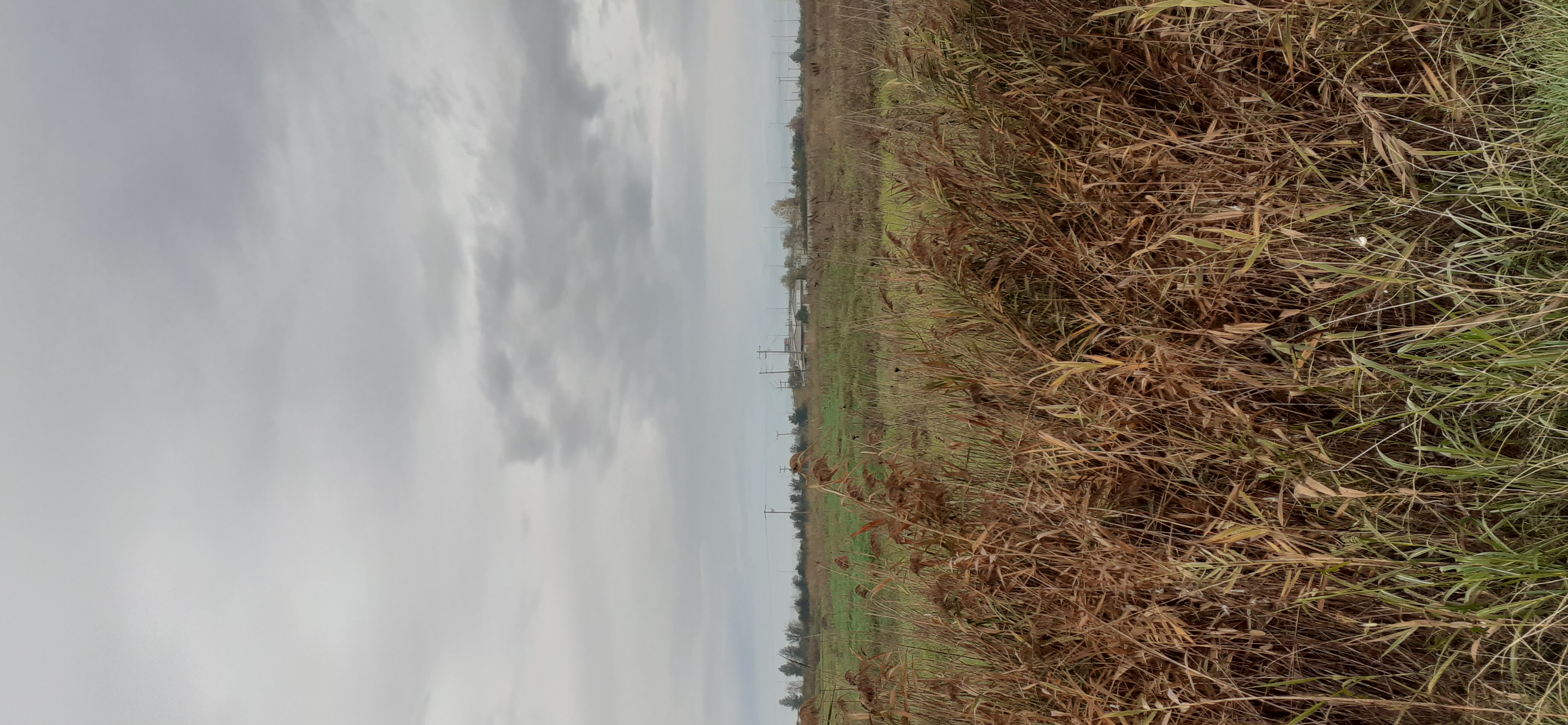 photo2