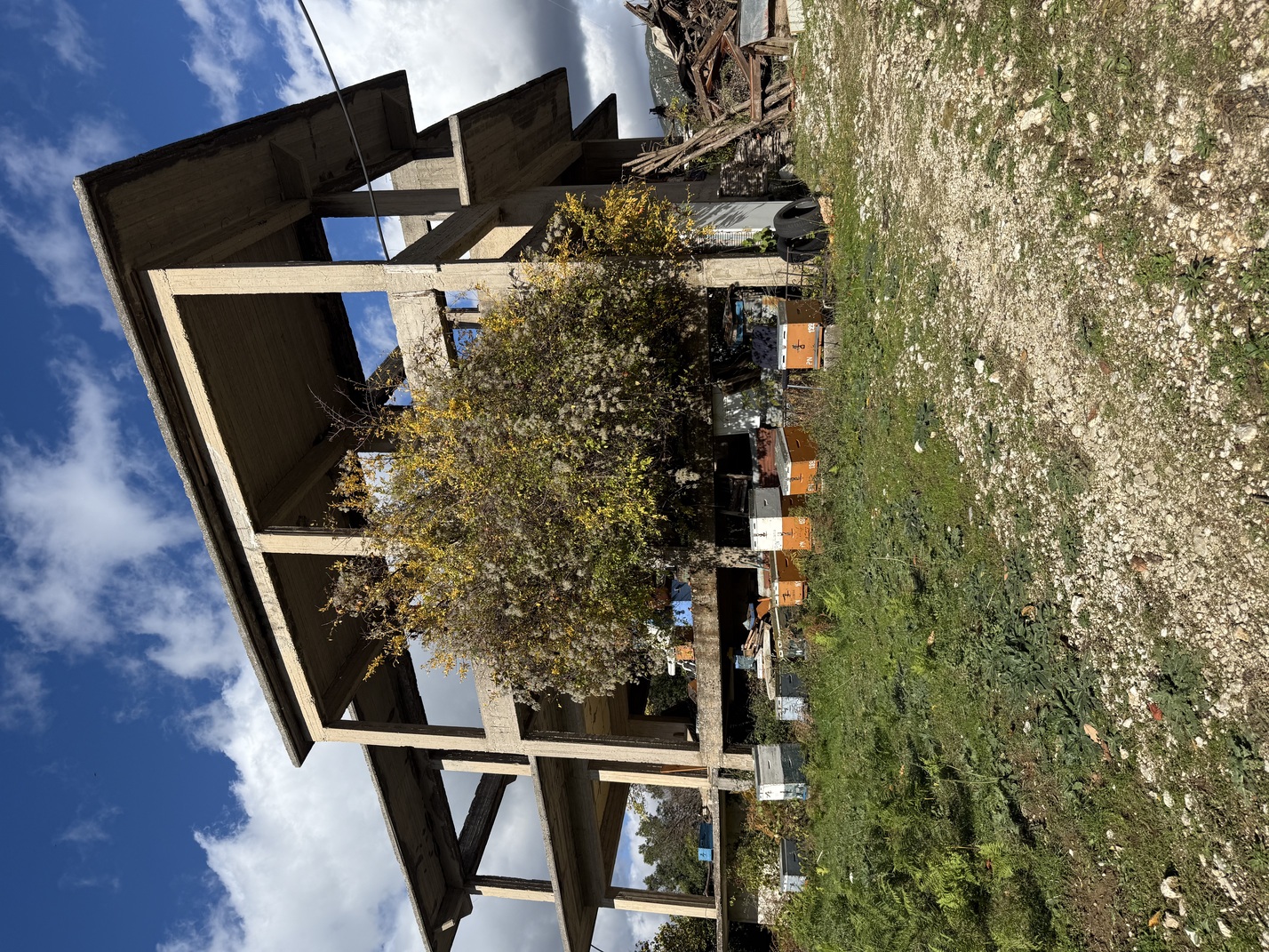 photo1