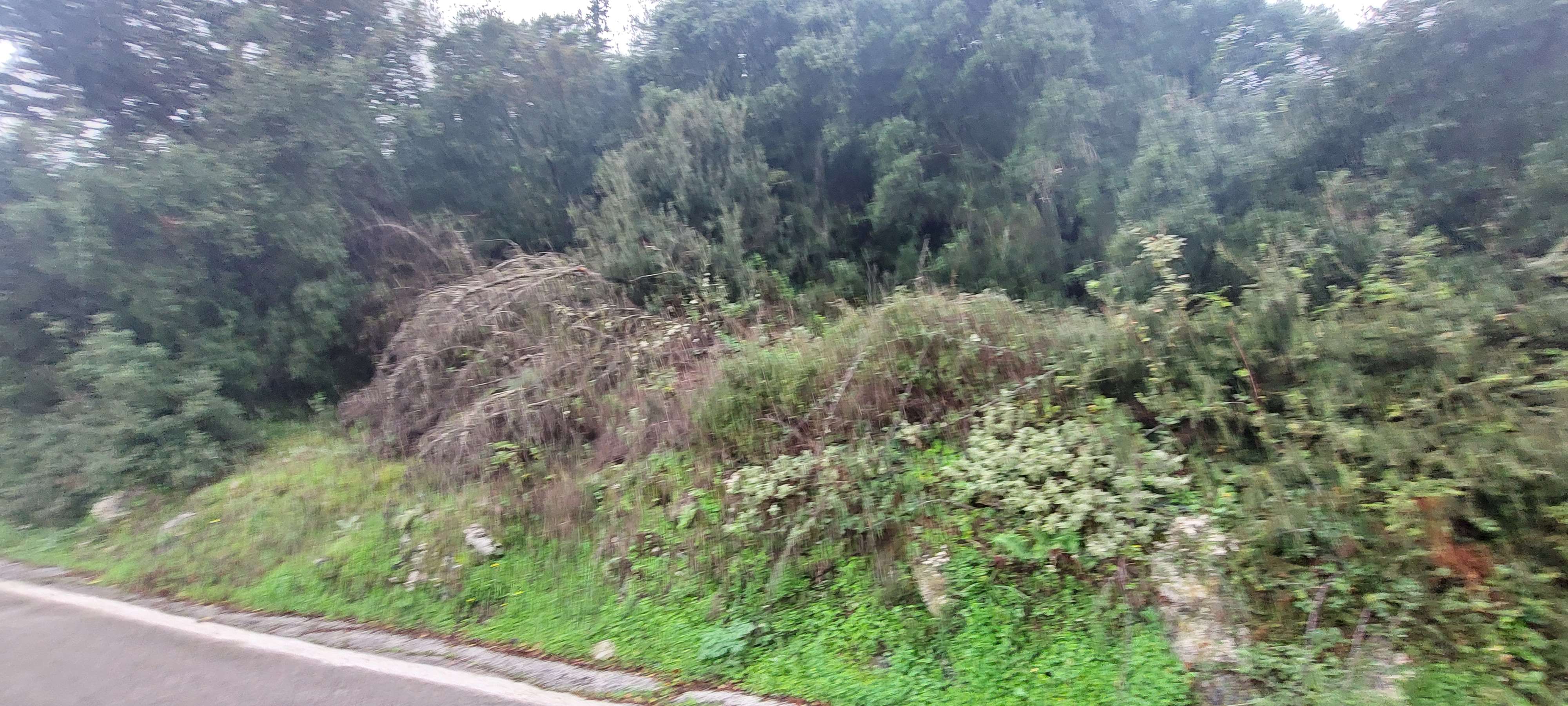photo1